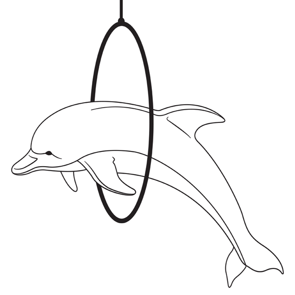 Captured Dolphin Color Drawing