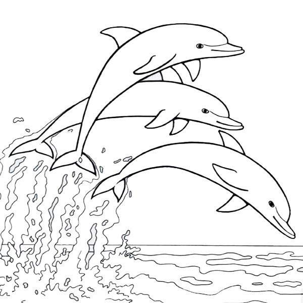 Dolphins Escaping Together Coloring Picture