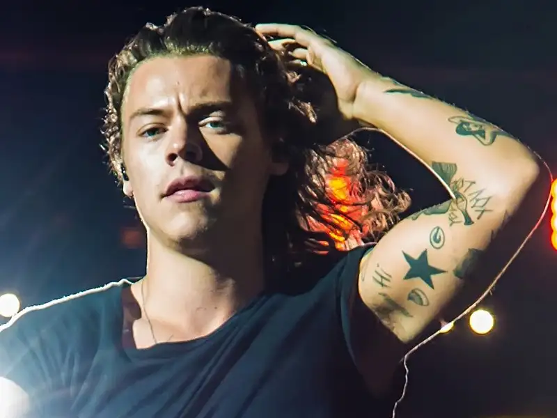 20 Best Harry Styles Tattoo Designs and Their Meanings