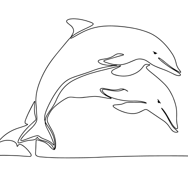 Twinning Dolphin Coloring Paper