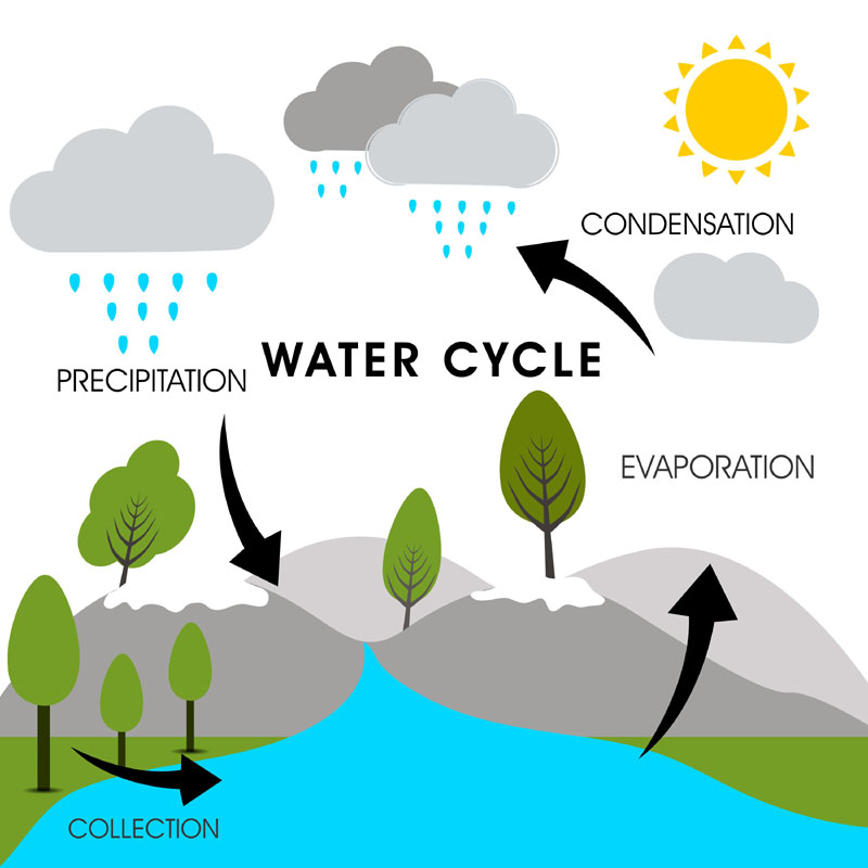 Nature Background With Water Cycle F1t24vpu L