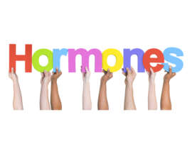 How to Get Your Hormones Balanced Naturally