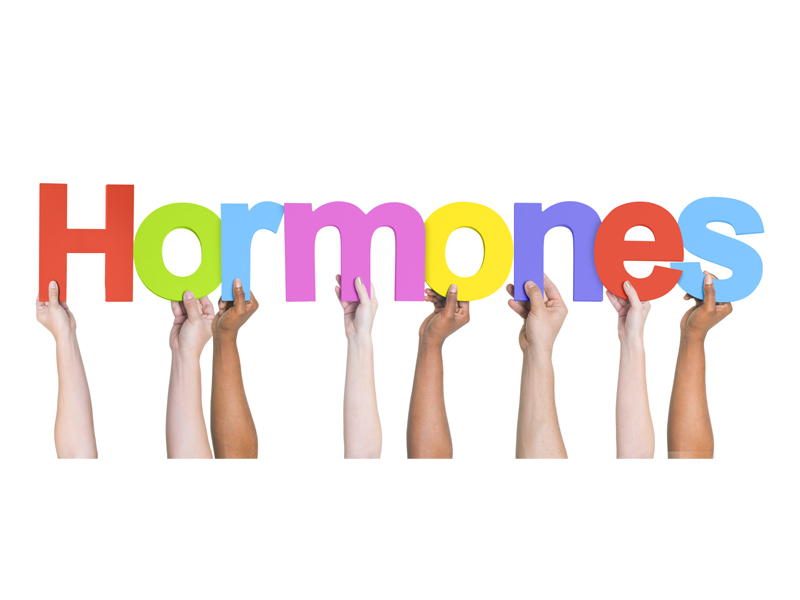 How To Get Your Hormones Balanced