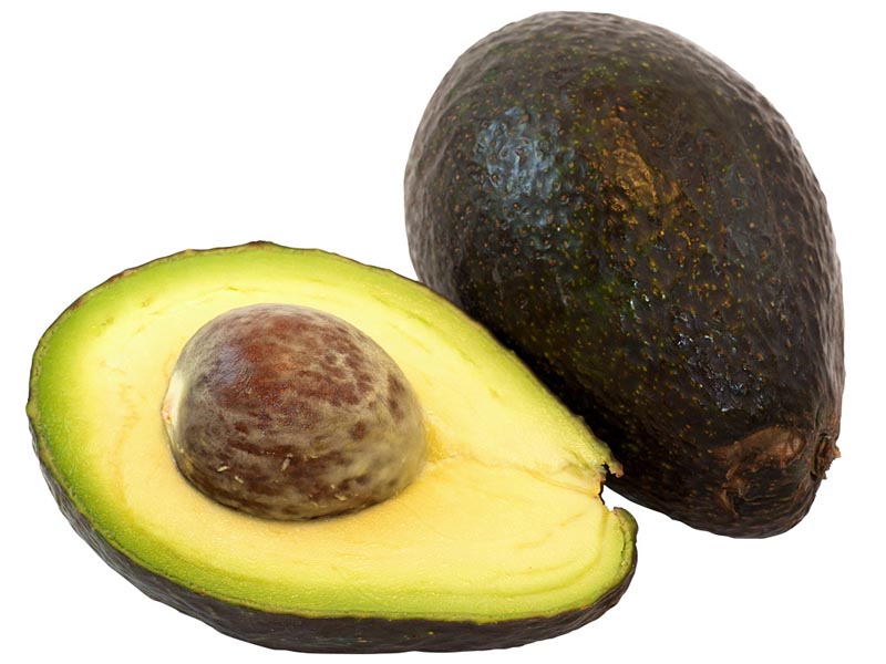 avocado types