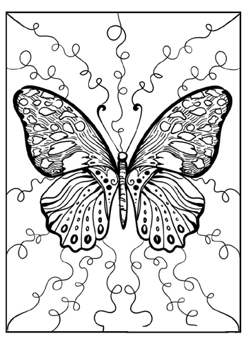 Beautiful Butterfly Coloring Pic