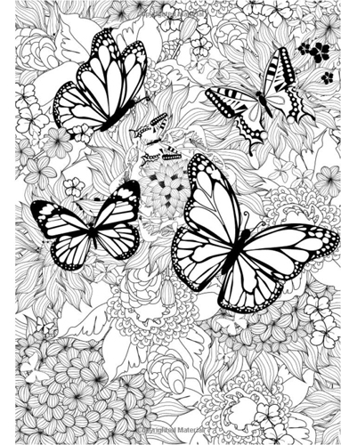 Butterfly Coloring For Adults