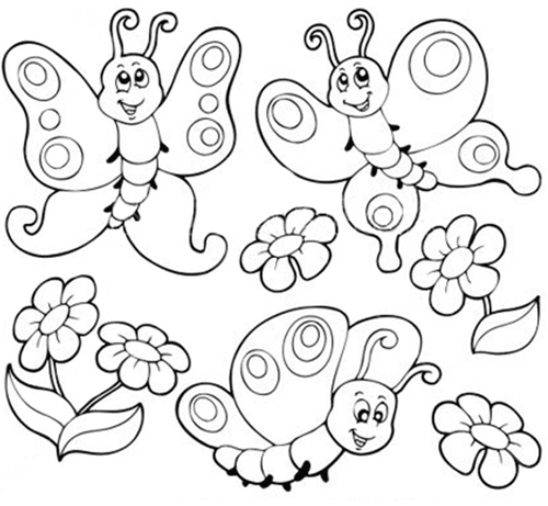 Butterflies And Flowers Colouring
