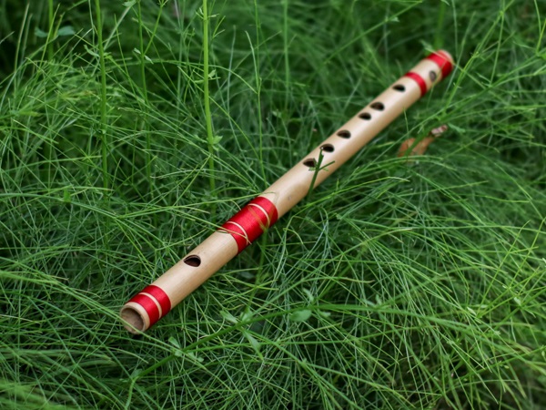 Flute-Types of Musical Instrument