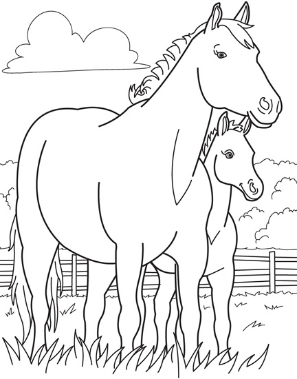 Horse And Foal Coloring Page