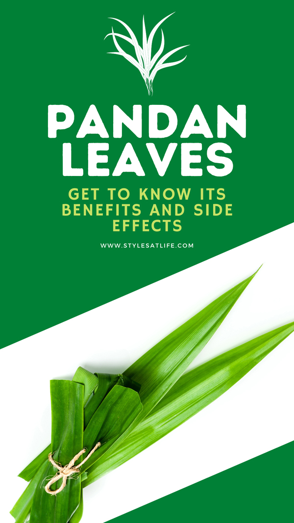 pandan leaves tea recipe