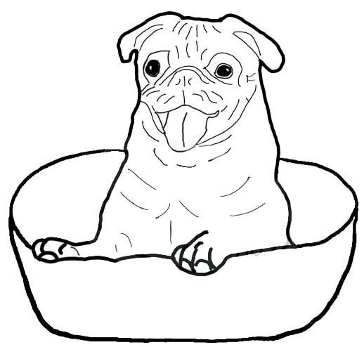 Pug Coloring Page 4