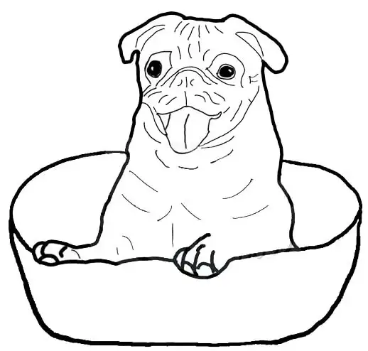 15 simple and best dog coloring pages free to print
