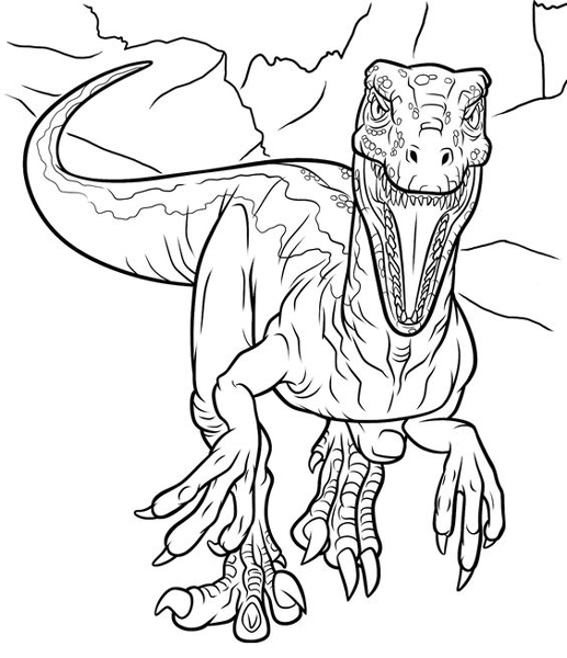 Raptor Coloring Page