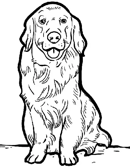 real dogs coloring pages