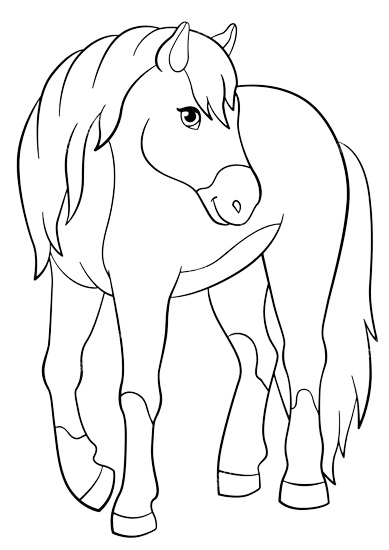 Simple Horse Picture