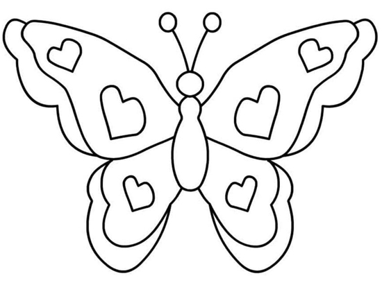 Simple Butterfly Colouring