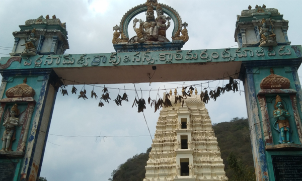 Sri Vyagra Lakshmi Narasimha Swamy Temple, Agiripalli