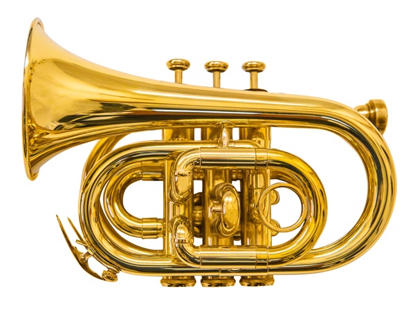 Trumpet-Musical Instrument Varieties