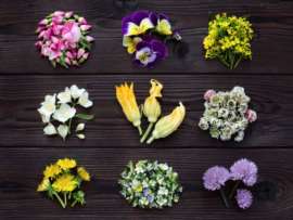 Edible Flowers: Top 15 Eatable Flowers and Facts About Them