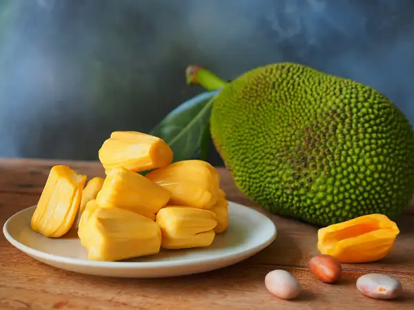 Jackfruit (Kathal) Benefits, Nutrition, How to Use and Side Effects