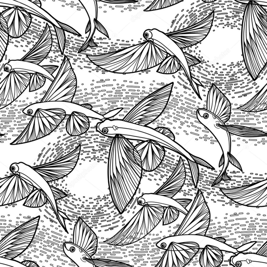 Flying Fish Colouring Page