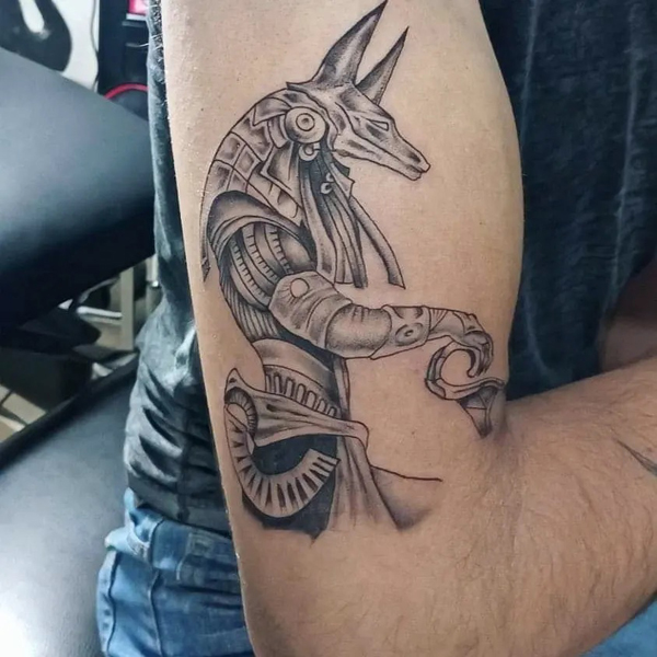 20 Anubis Tattoo Designs With Meanings 2023