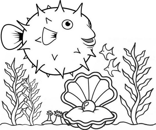 Pufferfish Colouring Page
