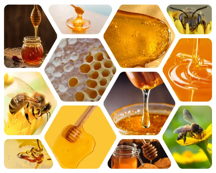 List of 10 Famous and Best Honey Brands in India 2023