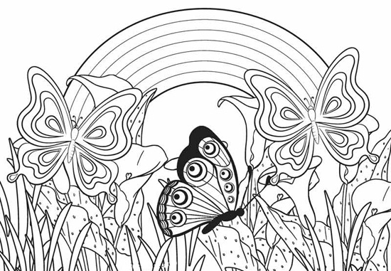 Butterfly Rainbow Colouring