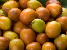 Indian Jujube Benefits: 16 Reasons Why Jujube Is Beneficial For Our Body