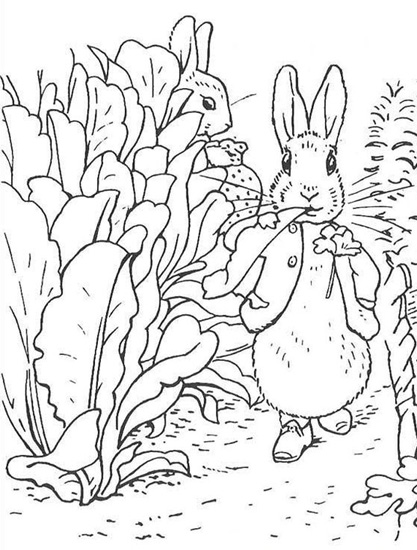 Peter Rabbit Colouring Page