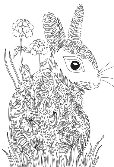 Rabbit Colouring Page With Nature