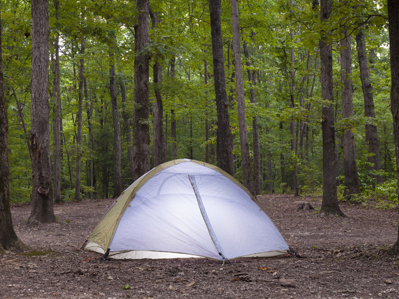 Best Forest Camping Grounds In Usa