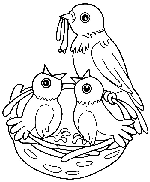 Bird nest coloring image