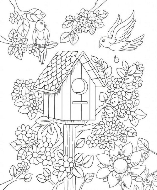 Birdhouse colouring pages