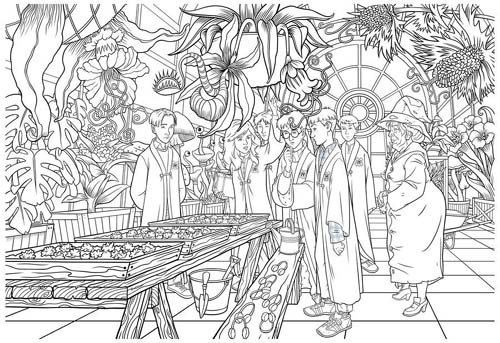 Detailed harry potter coloring image 