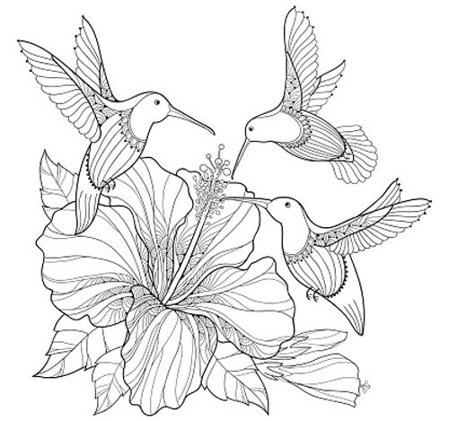 Flying bird colouring page