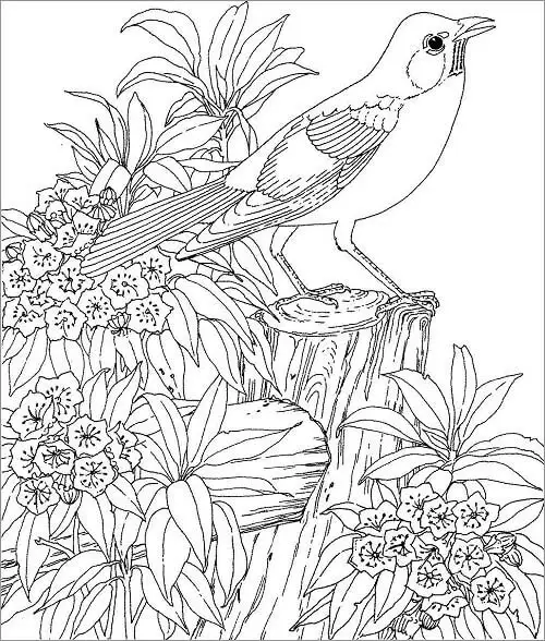 hard bird coloring pages