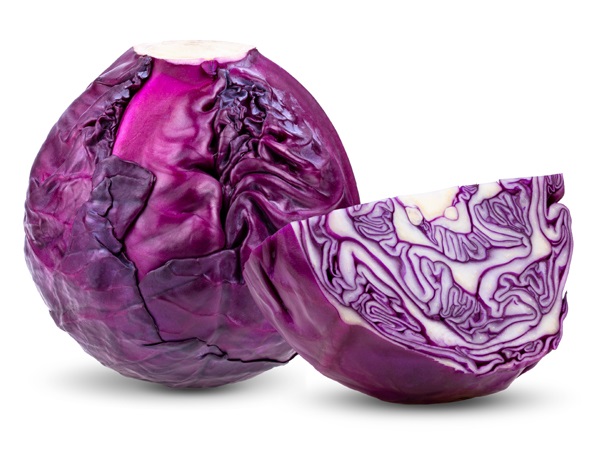 Red Cabbage Variety
