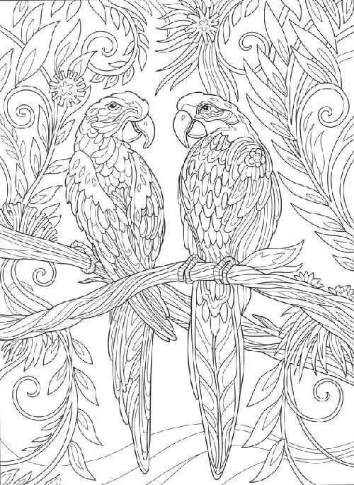 coloring pages of tropical bird