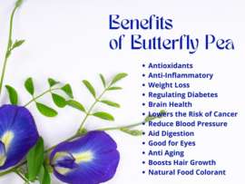 12 Amazing Butterfly Pea Flower Benefits (Aparajita) and Side Effects.