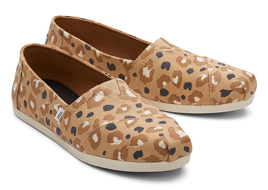 Brown Canvas Printed Shoes