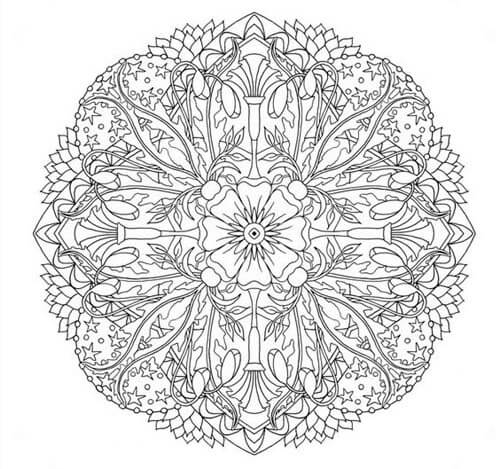 Flower Mandala Colouring Page