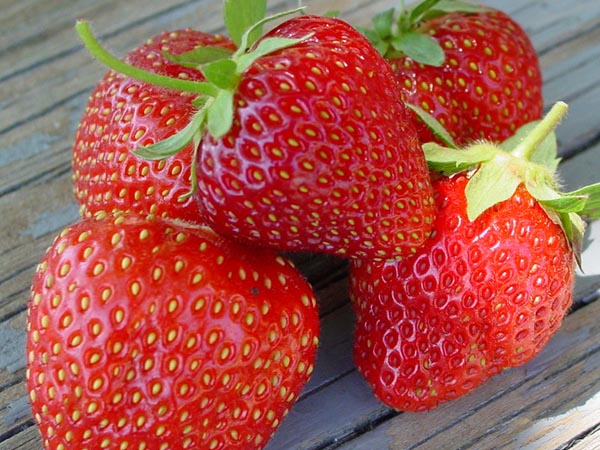 Jewel Strawberries