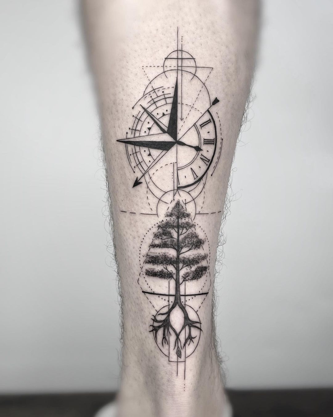Nature And Navigation Intertwined On The Calf