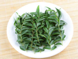 20+ Amazing Benefits and Uses of Curry Leaves