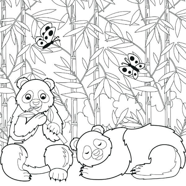 Realistic Panda Coloring Pages