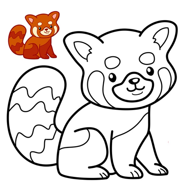 Red Panda Coloring Picture