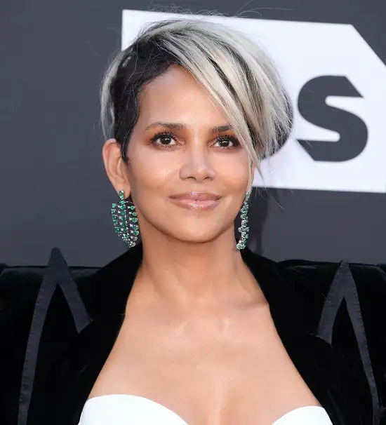 20 Different Halle Berry Hairdos for Long and Short Hair