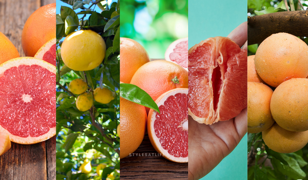 types of fruits that grow on trees